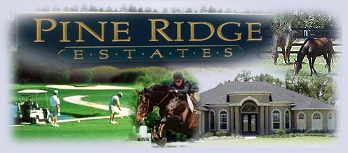 Pine Ridge Florida - information about this stunning Citrus County community with acre plus homesites, equestrian trails, and impressive homes