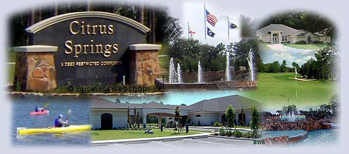 9141 N Bertin Dr, Citrus Springs, FL 34434